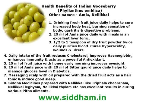 Amla - Health Benefits of Indian Gooseberry