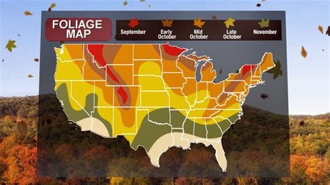 Fall foliage forecast: When’s the best time to see the leaves change | fox8.com