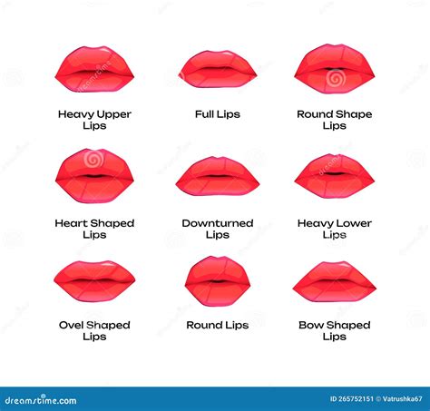 Types of Woman Lips. Different Shapes of Female Mouth Thin Full Bow-shaped Downward Round Heavy ...