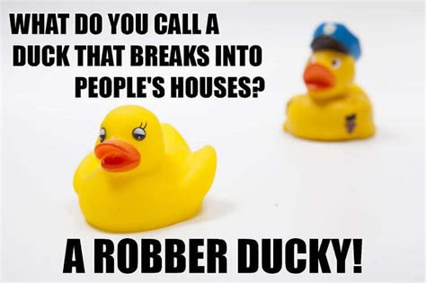 Duck Puns: 75 Nest Level Jokes to Quack You Up | My Pet's Name