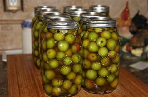 Pickled Crab Apples | Crab apple, Pickles, Canning recipes