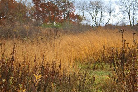 Pin by Janie Ausborn on Artwork I'd like to do. | Rural photography ...