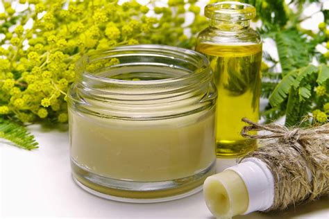 clear, glass container, surrounded, green, leaves, cream, mimosa ...