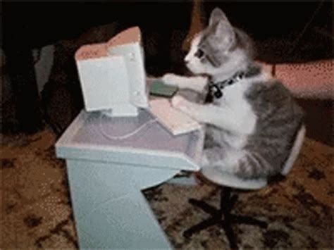 Cat Computer GIF - Cat Computer Typing - Discover & Share GIFs