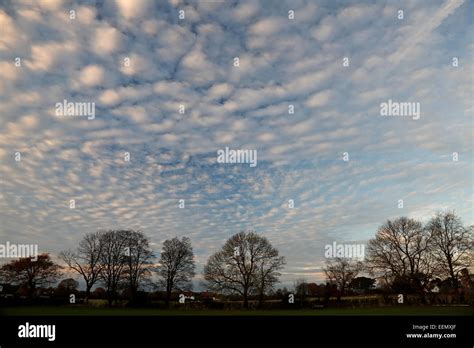 Altocumulus cloud formations at sunset over Willaston Village Wirral Cheshire Uk November 51306 ...