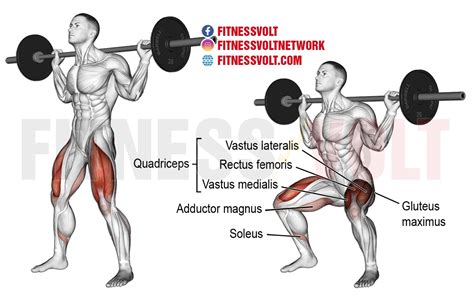 Bulgarian Split Squat Vs Barbell Squats: Should You Replace Barbell Squats With Bulgarian Split ...