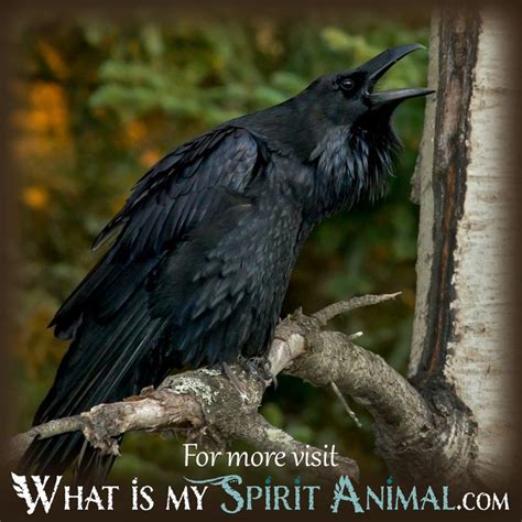 What Do Dreams About Raven Mean? - What Is My Spirit Animal | Spirit, Totem, & Power Animals