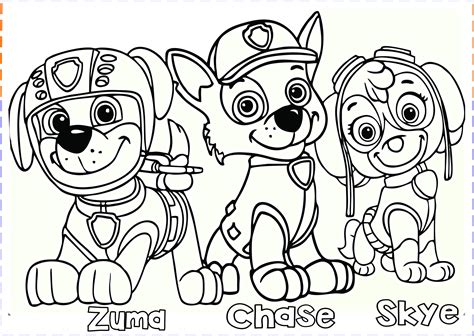 paw patrol coloring pages - Free Kids Coloring PageFree Kids Coloring Page