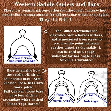 Western saddle for the non-western rider? - The Horse Forum