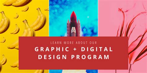 5 Key Graphic Design Projects for your Portfolio (with examples!)