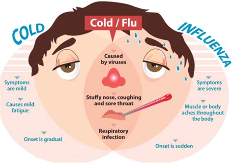 Types of Flu: Causes, Symptoms & Prevention Tips