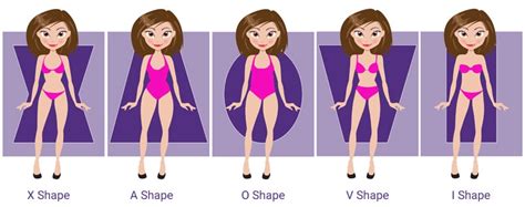 Body Shape Calculator | Discover your True Body Type & Shape