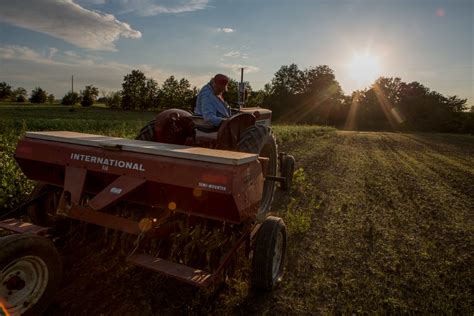 1961 Farmall 404 | Octane Press