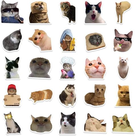 50Pcs Cat Stickers Pack Cute Cool Kawaii Funny for Cat Lovers Teens ...