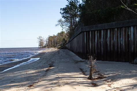 MCAS Cherry Point Shoreline Restoration > Marine Corps Air Station Cherry Point > MCAS Cherry ...