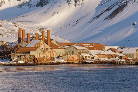 Uk Territory, South Georgia Island #10 Photograph by Jaynes Gallery ...