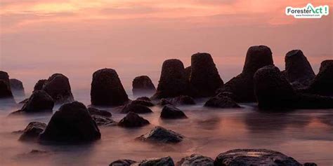 Berburu Oleh-oleh di Pantai Glagah, Kulon Progo