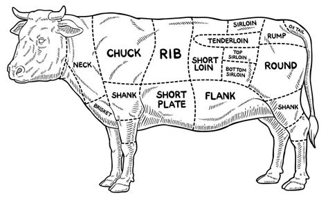 A Guide to Meat: The 8 Cuts of Beef - The Best Stop in Scott