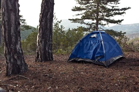 Camping tent in forest, travel ... | Stock image | Colourbox