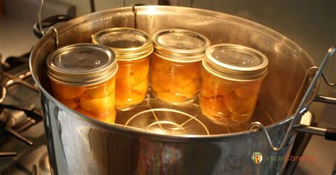 Water Bath Canning / How to Use Your Canner (with print checklist)