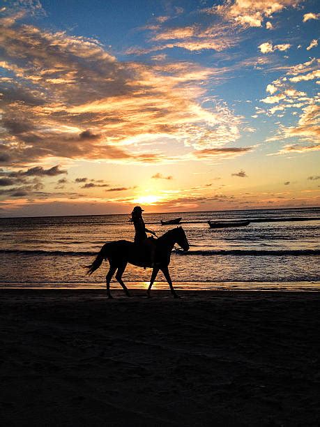 2,300+ Horse Riding On The Beach At Sunset Stock Photos, Pictures ...