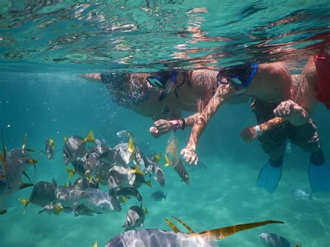 Discover the Best Snorkelling Spots in Santa Maria California