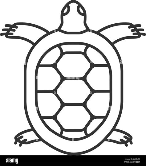 Tortoise linear icon. Thin line illustration. Turtle. Contour symbol. Vector isolated outline ...