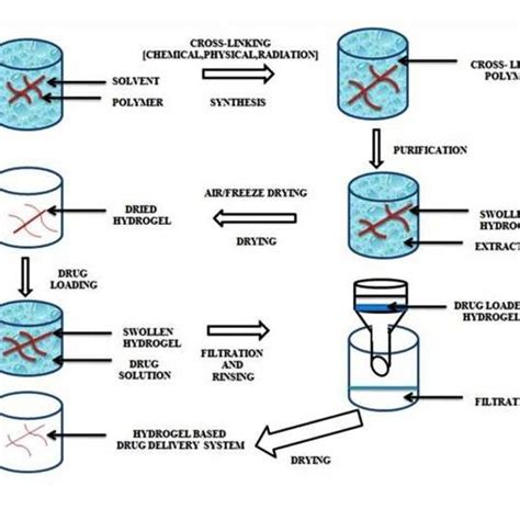 Hydrogels: An Introduction to a Controlled Drug Delivery Device ...