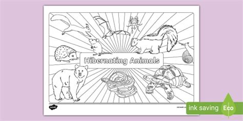 Hibernating Animals Colouring Page (l'enseignant a fait)