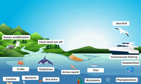 Ecosystem - Definition, Example, Structure and Function