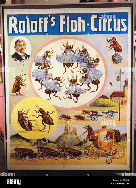 Flea circus poster hi-res stock photography and images - Alamy