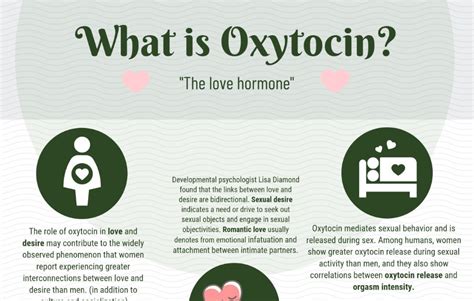 Infographic: Oxytocin – The Love Hormone