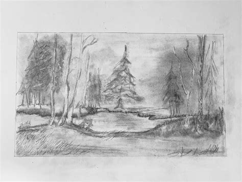 Forest Pencil Drawing