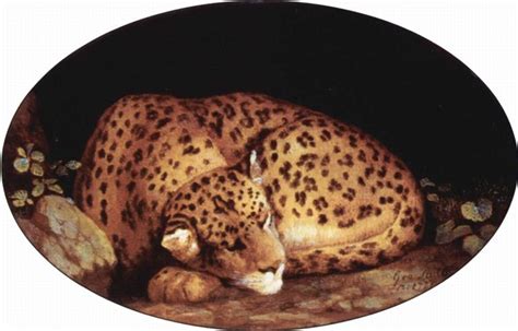 Sleeping Leopard, 1777 - George Stubbs - WikiArt.org