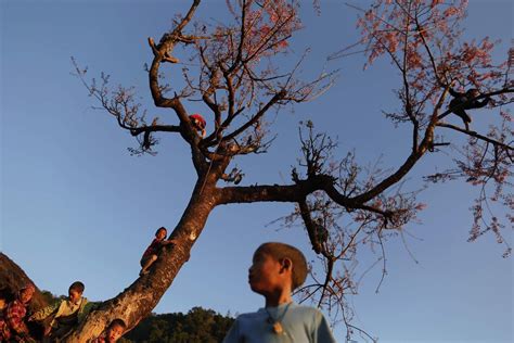 The Naga tribes of Myanmar - The Boston Globe