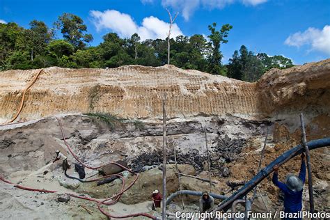 Rainforest: Mining In The Amazon Rainforest