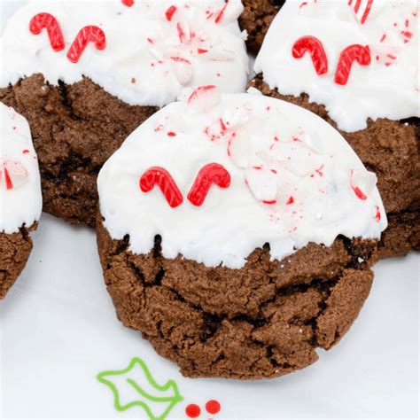 Peppermint Chewy Chocolate Cookies - Mama's On A Budget