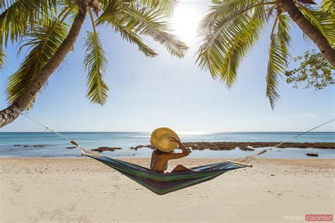 - Woman relaxing on hammock under palm tree on a tropical beach, Fiji | Royalty Free Image