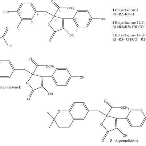 Structure of butyrolactone I derivatives | Download Scientific Diagram