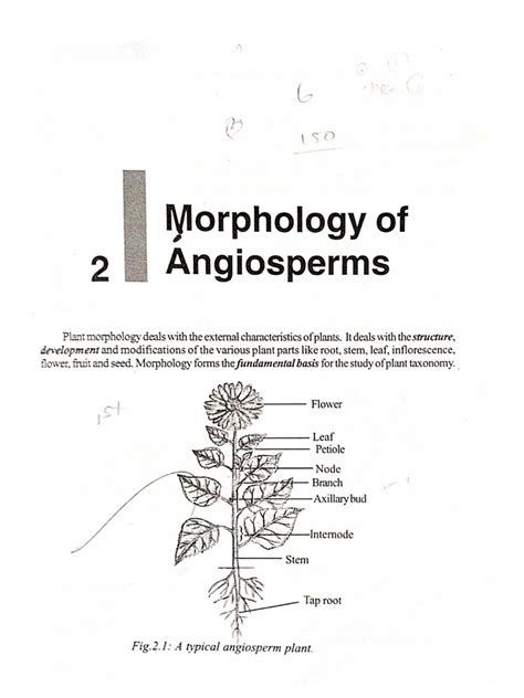 Unit 1 Botany | PDF