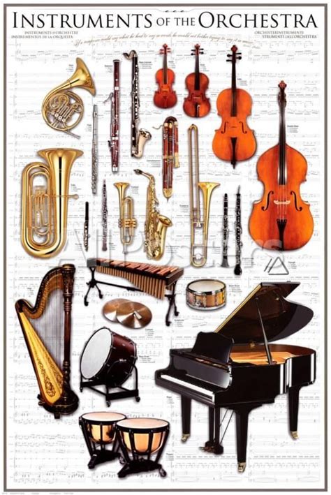 'Instruments Symphony Orchestra' Print | AllPosters.com | Instruments ...