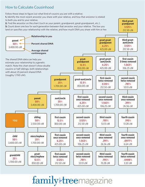 Cousin Chart Family Tree Dna