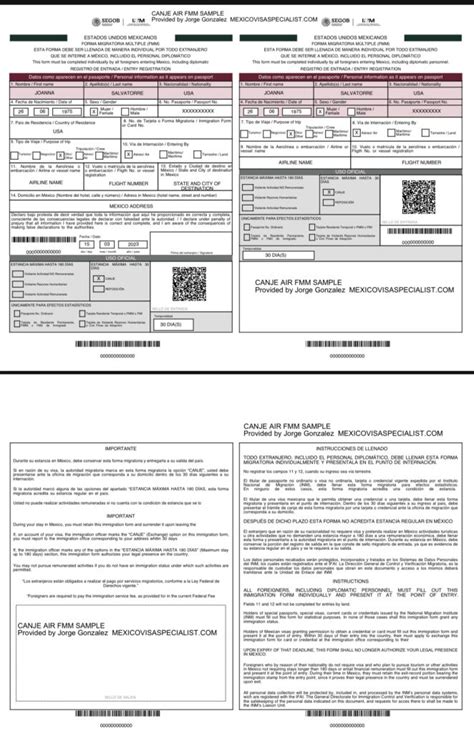 DIGITAL CANJE FMM - Mexico Visa Specialist