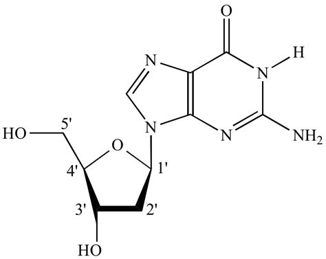 Illustrated Glossary of Organic Chemistry - Nucleoside