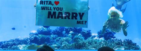 An Underwater Wedding Proposal in the Maldives | Arabia Weddings