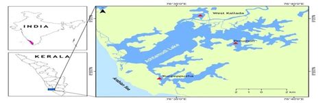 Location map of Ashtamudi Lake. | Download Scientific Diagram