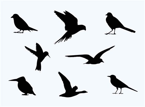 Free Birds Silhouette (PSD)