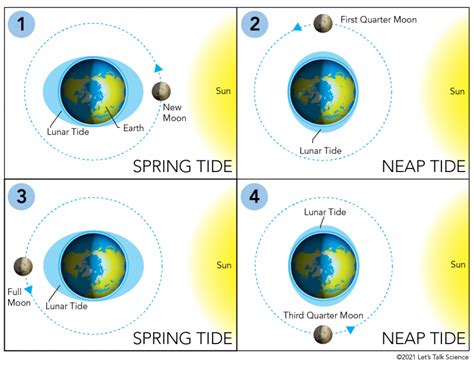 Waves, Tides and Tsunamis - Let's Talk Science