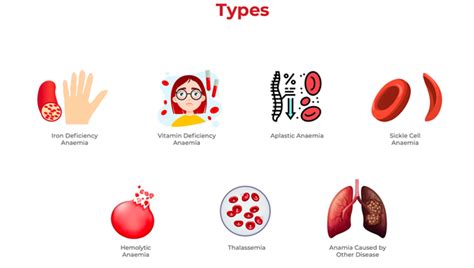 Anaemia: Types, Symptoms, Diagnosis, and More - Dr Lal PathLabs Blog