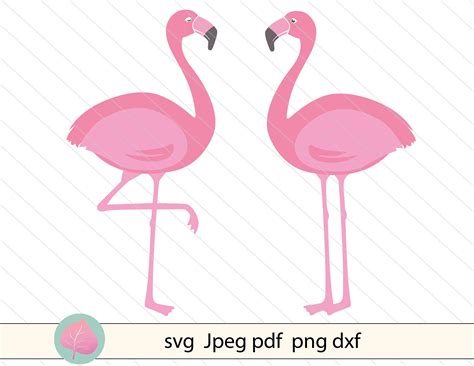 Silhouette Cricut Scrapbook Cut File Clipart Flamingo Svg Decal Vector Logo Flamingo Cut File ...